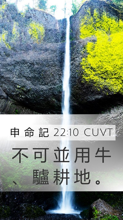 申 命 記 22:10 CUVT Mobile Phone Wallpaper - 不 可 並 用 牛 、 驢 耕 地 - Mobile Bible Verse Wallpaper