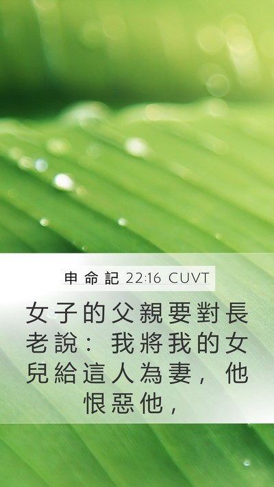 申 命 記 22:16 CUVT Mobile Phone Wallpaper - 女 子 的 父 親 要 對 長 老 說 ： 我 - Mobile Bible Verse Wallpaper