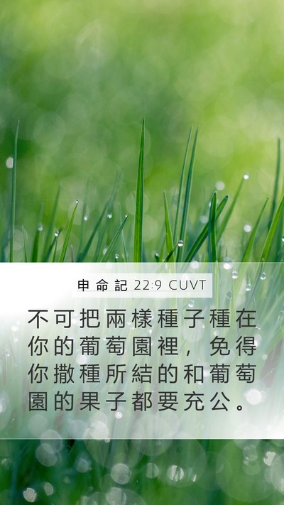申 命 記 22:9 CUVT Mobile Phone Wallpaper - 不 可 把 兩 樣 種 子 種 在 你 的 葡 - Mobile Bible Verse Wallpaper