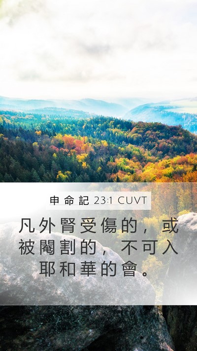 申 命 記 23:1 CUVT Bible Verse Image
