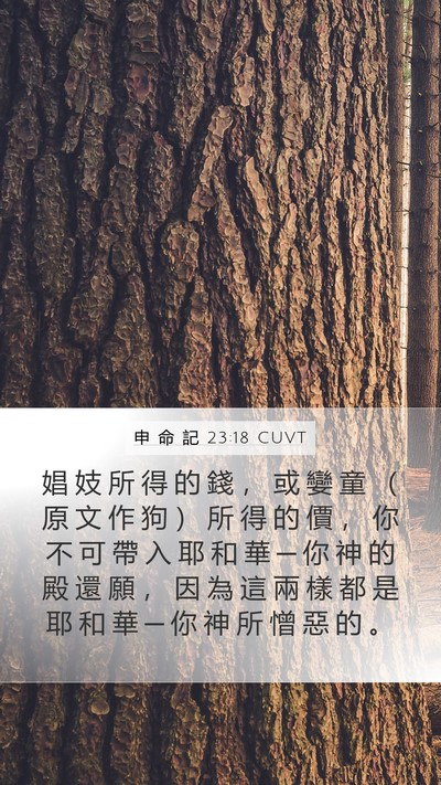 申 命 記 23:18 CUVT Bible Verse Image