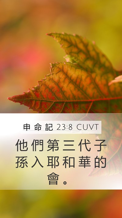 申 命 記 23:8 CUVT Mobile Phone Wallpaper - 他 們 第 三 代 子 孫 入 耶 和 華 的 - Mobile Bible Verse Wallpaper