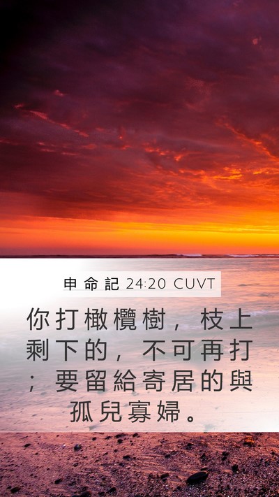 申 命 記 24:20 CUVT Mobile Phone Wallpaper - 你 打 橄 欖 樹 ， 枝 上 剩 下 的 ， - Mobile Bible Verse Wallpaper