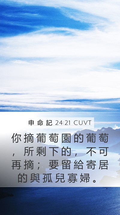 申 命 記 24:21 CUVT Mobile Phone Wallpaper - 你 摘 葡 萄 園 的 葡 萄 ， 所 剩 下 - Mobile Bible Verse Wallpaper