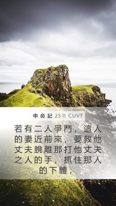 申 命 記 25:11 CUVT Bible Verse Image