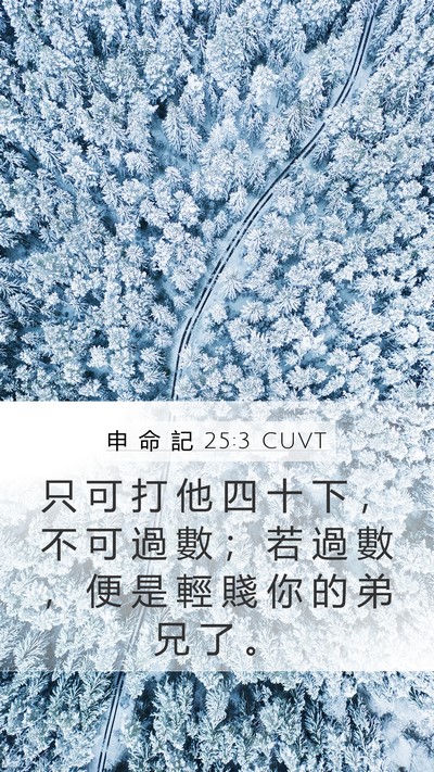 申 命 記 25:3 CUVT Mobile Phone Wallpaper - 只 可 打 他 四 十 下 ， 不 可 過 數 - Mobile Bible Verse Wallpaper
