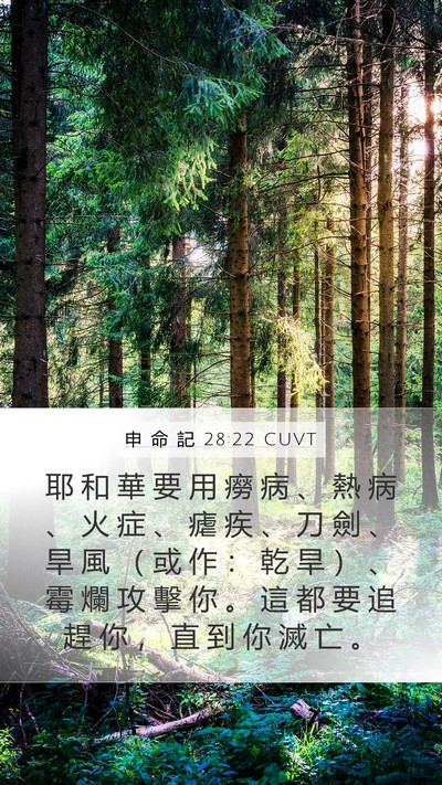 申 命 記 28:22 CUVT Bible Verse Image