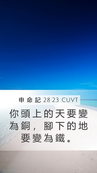 申 命 記 28:23 CUVT Bible Verse Image