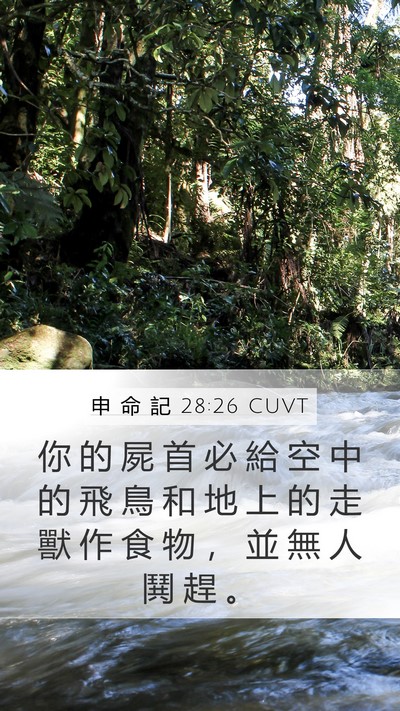 申 命 記 28:26 CUVT Bible Verse Image