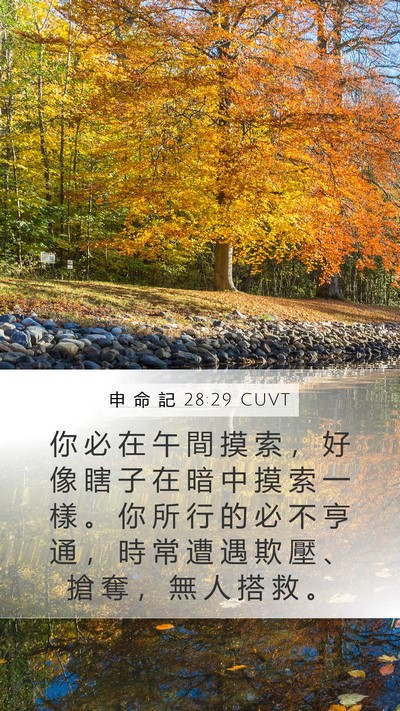 申 命 記 28:29 CUVT Bible Verse Image