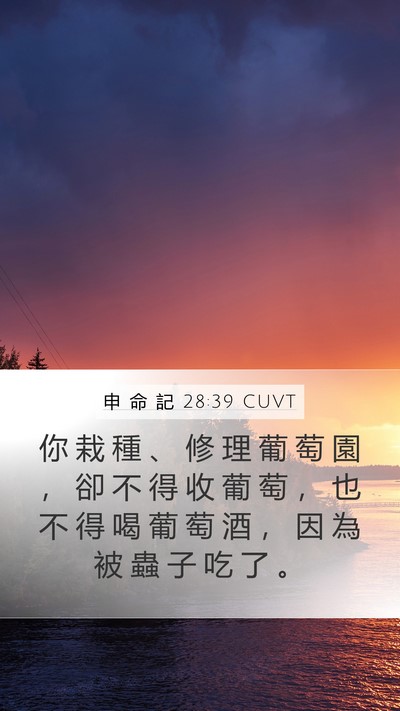 申 命 記 28:39 CUVT Bible Verse Image