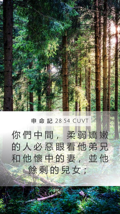 申 命 記 28:54 CUVT Bible Verse Image