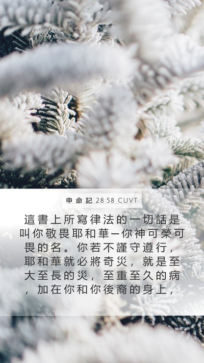 申 命 記 28:58 CUVT Bible Verse Image
