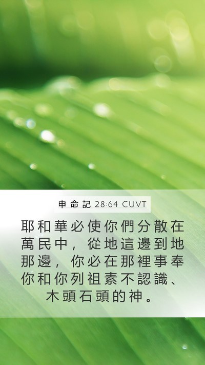 申 命 記 28:64 CUVT Bible Verse Image