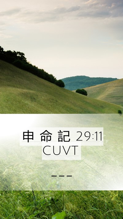 申 命 記 29:11 CUVT Bible Verse Image