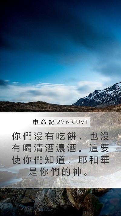 申 命 記 29:6 CUVT Mobile Phone Wallpaper - 你 們 沒 有 吃 餅 ， 也 沒 有 喝 清 - Mobile Bible Verse Wallpaper