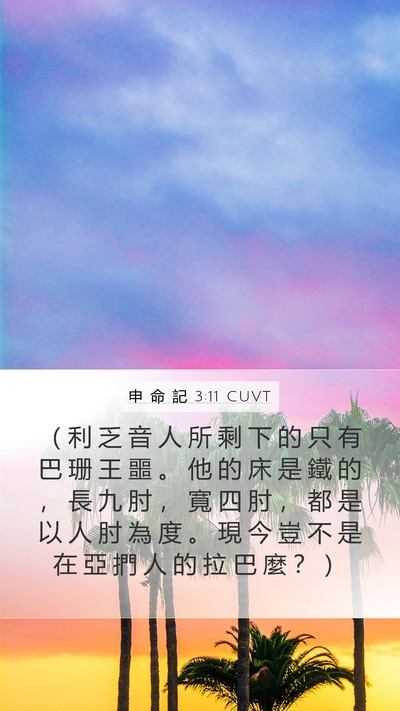 申 命 記 3:11 CUVT Bible Verse Image