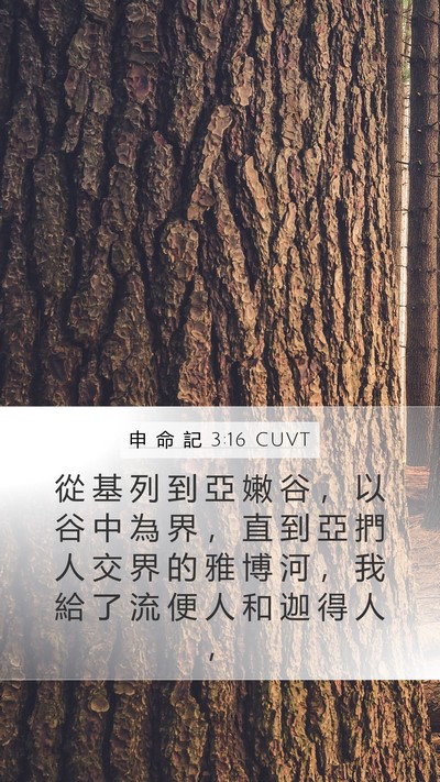 申 命 記 3:16 CUVT Bible Verse Image