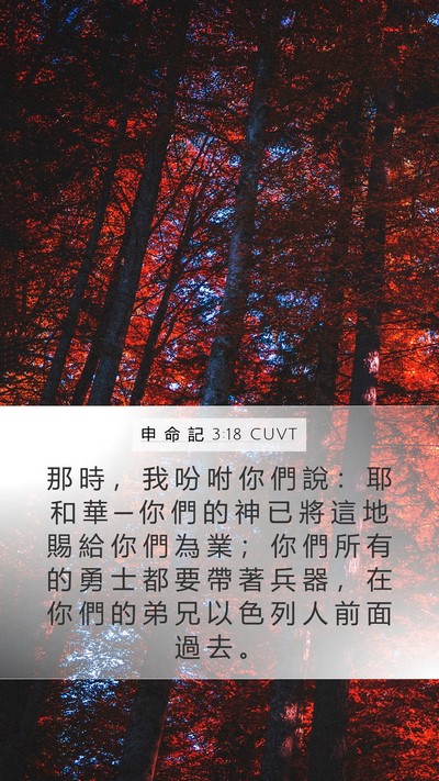 申 命 記 3:18 CUVT Bible Verse Image