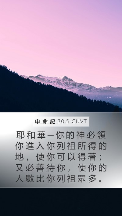 申 命 記 30:5 CUVT Mobile Phone Wallpaper - 耶 和 華 ─ 你 的 神 必 領 你 進 入 - Mobile Bible Verse Wallpaper