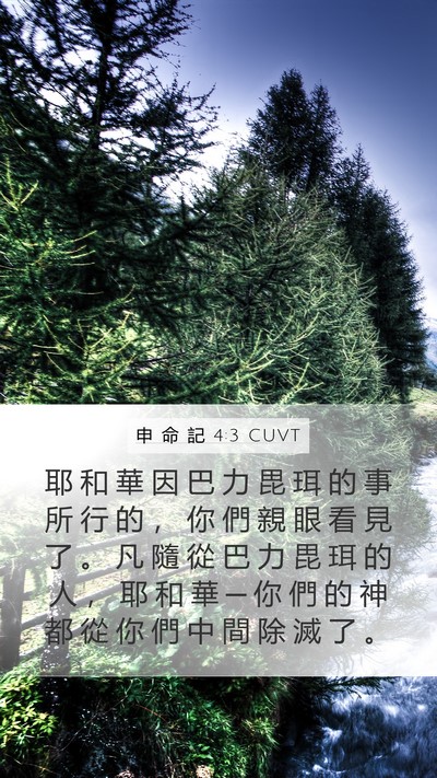 申 命 記 4:3 CUVT Bible Verse Image
