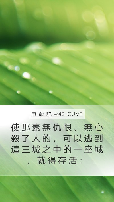 申 命 記 4:42 CUVT Bible Verse Image
