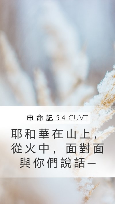 申 命 記 5:4 CUVT Bible Verse Image