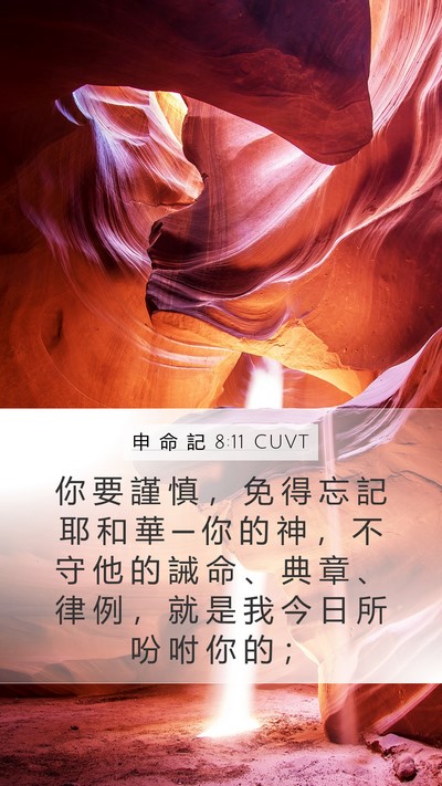 申 命 記 8:11 CUVT Mobile Phone Wallpaper - 你 要 謹 慎 ， 免 得 忘 記 耶 和 華 - Mobile Bible Verse Wallpaper