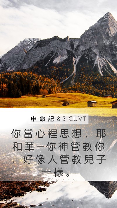 申 命 記 8:5 CUVT Bible Verse Image