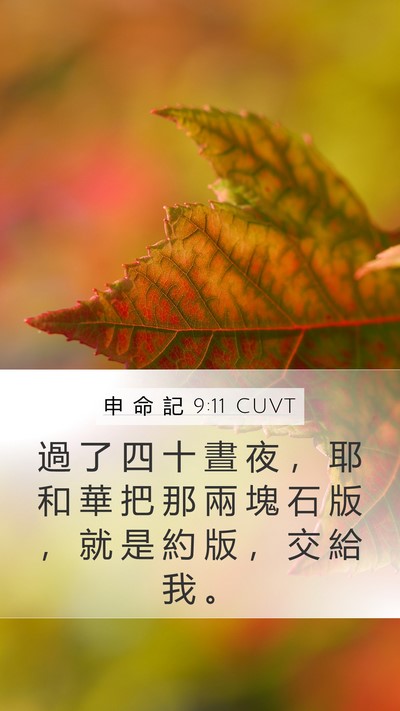 申 命 記 9:11 CUVT Bible Verse Image