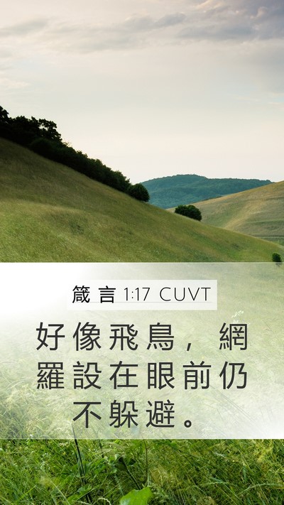 箴 言 1:17 CUVT Bible Verse Image