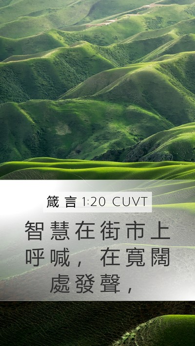 箴 言 1:20 CUVT Bible Verse Image