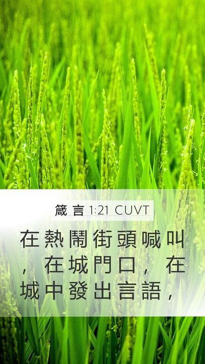 箴 言 1:21 CUVT Bible Verse Image
