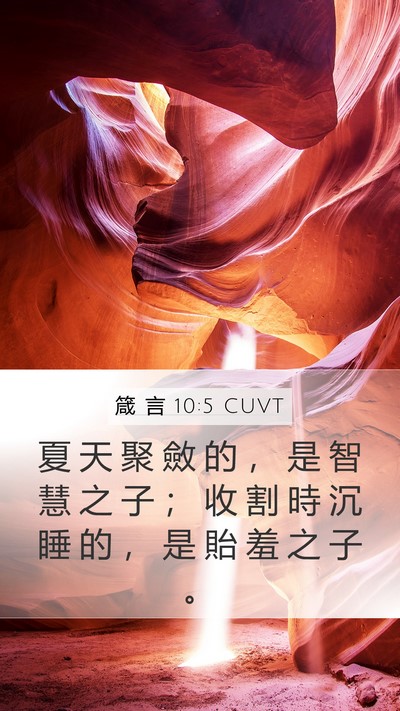 箴 言 10:5 CUVT Bible Verse Image