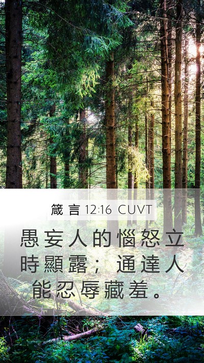 箴 言 12:16 CUVT Bible Verse Image