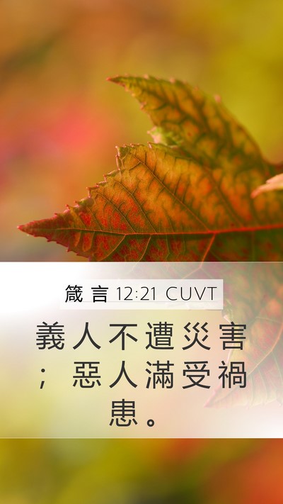 箴 言 12:21 CUVT Bible Verse Image