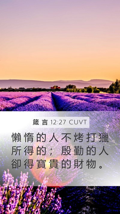 箴 言 12:27 CUVT Bible Verse Image