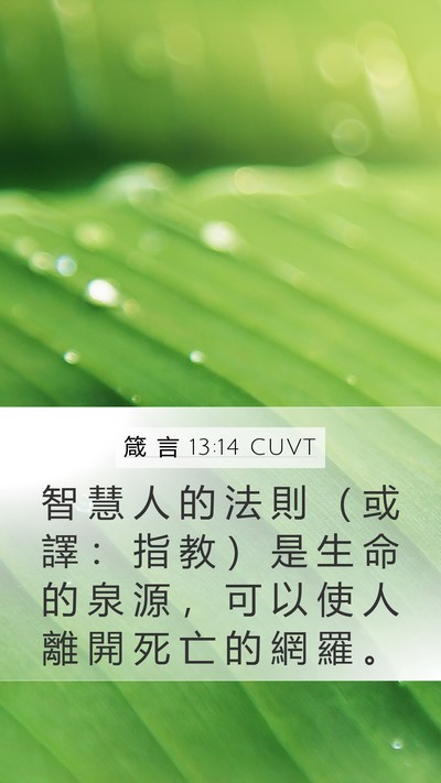 箴 言 13:14 CUVT Bible Verse Image