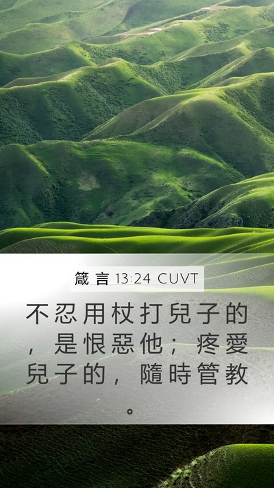 箴 言 13:24 CUVT Bible Verse Image