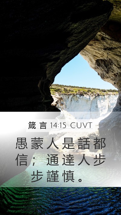 箴 言 14:15 CUVT Bible Verse Image