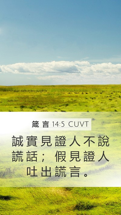 箴 言 14:5 CUVT Bible Verse Image
