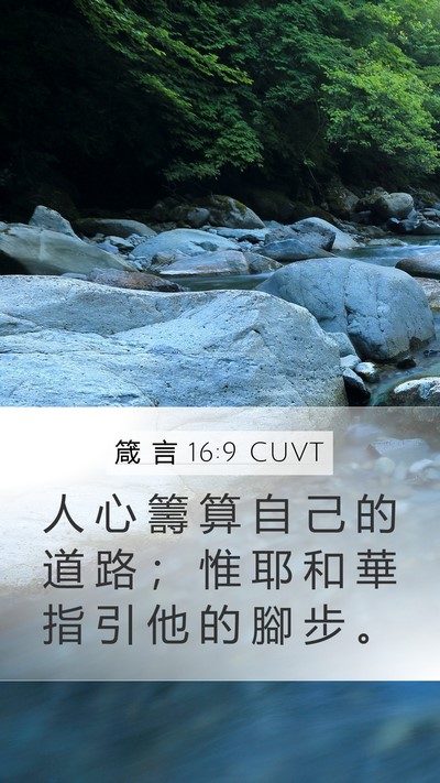 箴 言 16:9 CUVT Bible Verse Image