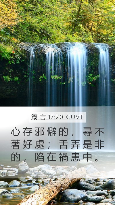 箴 言 17:20 CUVT Bible Verse Image