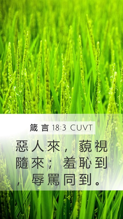 箴 言 18:3 CUVT Mobile Phone Wallpaper - 惡 人 來 ， 藐 視 隨 來 ； 羞 恥 到 - Mobile Bible Verse Wallpaper