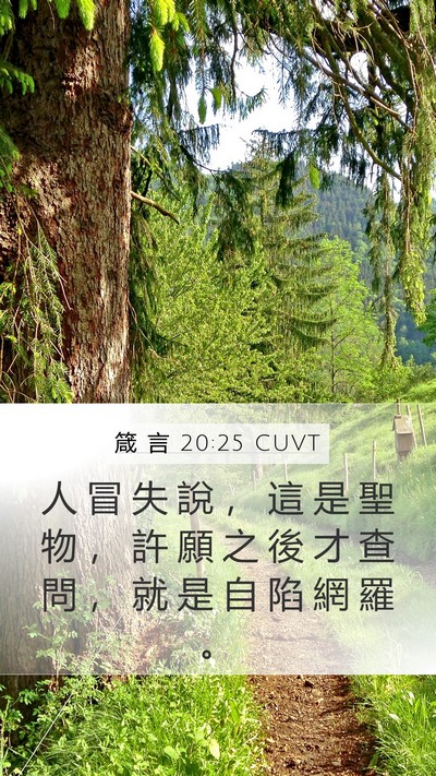箴 言 20:25 CUVT Bible Verse Image
