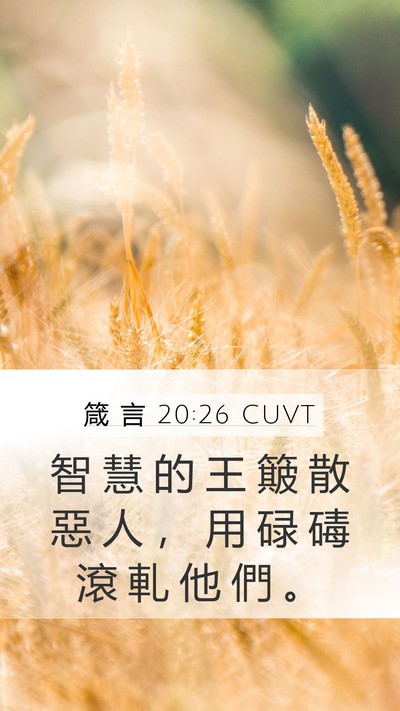 箴 言 20:26 CUVT Mobile Phone Wallpaper - 智 慧 的 王 簸 散 惡 人 ， 用 碌 碡 - Mobile Bible Verse Wallpaper