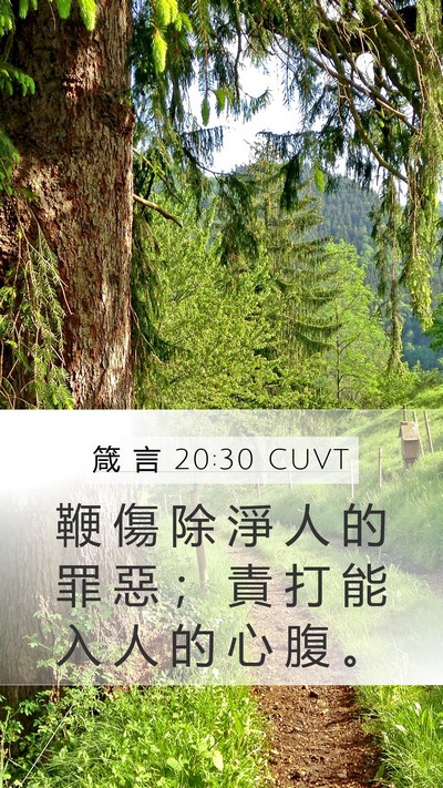 箴 言 20:30 CUVT Bible Verse Image