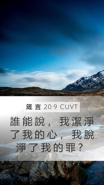 箴 言 20:9 CUVT Bible Verse Image