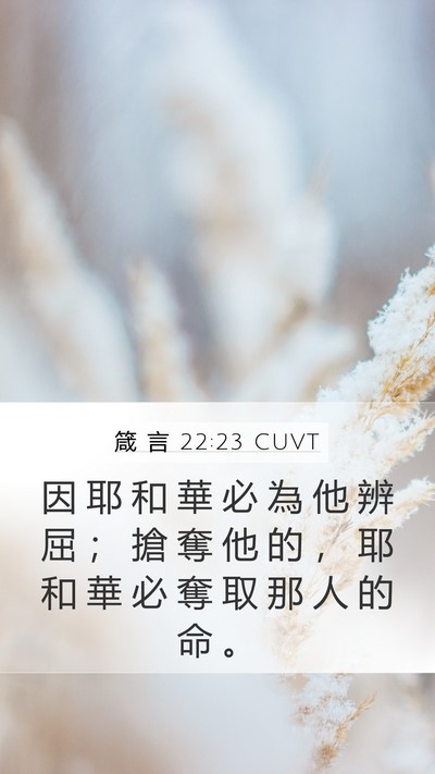 箴 言 22:23 CUVT Bible Verse Image