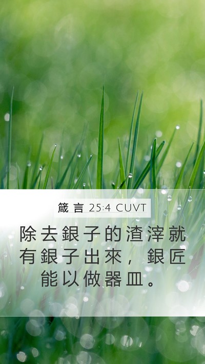 箴 言 25:4 CUVT Bible Verse Image